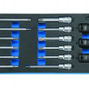 Módulo 12 pontas sext./torx interior longas 1/2